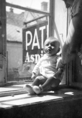 Hungary, Veszprém, Rákóczi Ferenc utca 8. I. emeleti lakás., 1935, Karabélyos Péter, sign-board, window, kid, sitting on a windowsill, Fortepan #57457