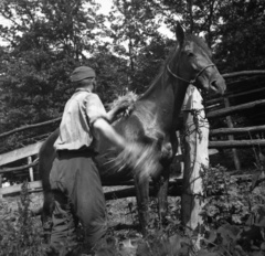 1942, Kollányi Ágoston, Fortepan #57536