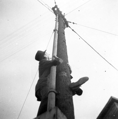 1941, Botár Angéla, man, pylon, pole climbing, Fortepan #57872