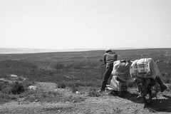 France, kilátás a D9 út mellől az Étang de Berre irányába., 1958, Pierre Varga, free time, motorcycle, picture, travelling, scooter, number plate, Fortepan #57966