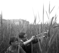 Magyarország, Budapest XI., lápos terület a mai Bikás-park helyén, háttérben a Bánk Bán utca házai., 1963, Domina Géza, fiúk, nádas, csúzli, Budapest, Best of, Fortepan #58175