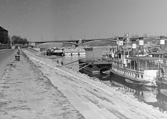 Magyarország, Budapest II., budai alsó rakpart, Bem József téri hajóállomás, háttérben a Margit híd és a Margit-sziget., 1960, Fortepan, hajó, látkép, stég, gőzhajó, vízibusz, 302. sz. Állóhajó/Gönyű/Böős/Melk hajó, Budapest, Fortepan #583