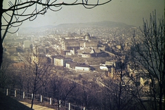 Magyarország, Gellérthegy, Budapest I., kilátás a Tabán és a budai Vár felé., 1968, Nagy Zoltán, színes, látkép, Budapest, Fortepan #58346