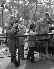 Magyarország, Városliget,Állatkert, Budapest XIV., 1960, Nagy Gyula, fotózás, Budapest, Fortepan #58380