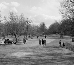 Magyarország, Budapest XII., az Erzsébet kilátó út torkolata a Jánoshegyi útnál., 1960, Nagy Gyula, árnyék, Budapest, Fortepan #58397