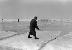 Hungary,Lake Balaton, 1962, Nagy Gyula, ice field;ice float, ice, Fortepan #58459