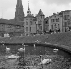 Germany, Schwerin, a Pfaffenteich partja, háttérben a Dóm., 1962, Nagy Gyula, church, swan, GDR, Fortepan #58468