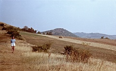 Hungary,Lake Balaton, Tihany Peninsula, az Óvár nyugati lejtője., 1963, Herbály István, colorful, Fortepan #58852