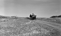 Hungary,Lake Balaton, Tihany Peninsula, háttérben az apátság., 1963, Herbály István, Fortepan #58858