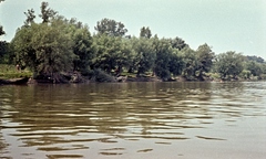 1963, Herbály István, river, bathing, shore, colorful, Fortepan #58894