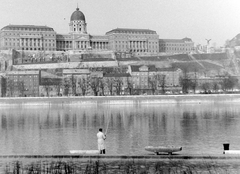 Magyarország, Budapest, a budai Vár a pesti rakpartról., 1973, Fortepan, horgászat, látkép, Fortepan #5941