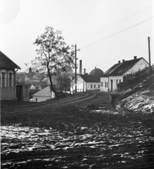 Czech Republik, háttérben a Városháza tornya, középen a kastély látszik., 1916, Varga János, Fortepan #59532