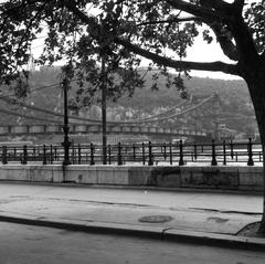 Magyarország, Budapest V., Petőfi tér az épülő Erzsébet híd és a Gellért-hegy felé nézve., 1964, Nagy Gyula, Duna, Budapest, függőhíd, Duna-híd, Sávoly Pál-terv, Fortepan #59892