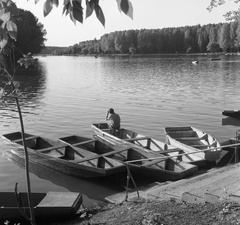 Magyarország, Mártély, Tisza-part., 1975, Nagy Gyula, Fortepan #60095