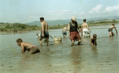 Szlovákia, Poltár, halastó., 1958, Zsanda Zsolt, Vajszada Károly, Csehszlovákia, színes, tó, halászat, Fortepan #60200