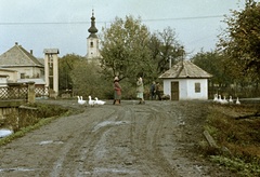 Szlovákia, Poltár, ulica Obrancov mieru a Poltarica-patak hídjánál, háttérben az evangélikus templom., 1959, Zsanda Zsolt, Vajszada Károly, Csehszlovákia, templom, színes, liba, Fortepan #60233