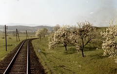 Szlovákia, Poltár, Losonc-Utekáč (Újantalvölgy) vasútvonal szakasza a város előtt, Ipolyszele irányába nézve., 1959, Zsanda Zsolt, Vajszada Károly, Csehszlovákia, vasút, színes, tavasz, rügyfakadás, sínpálya, Fortepan #60242