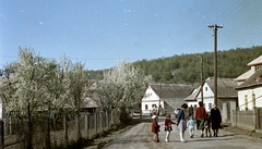 Szlovákia, Poltár, ulica Obrancov mieru., 1959, Zsanda Zsolt, Vajszada Károly, Csehszlovákia, színes, séta, tavasz, rügyfakadás, Fortepan #60243