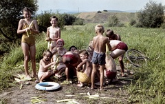 Szlovákia, Poltár, a falu közeli Ipoly-part., 1960, Zsanda Zsolt, Vajszada Károly, Csehszlovákia, színes, fürdőzés, úszógumi, nyár, gyerekek, kukorica, Fortepan #60265