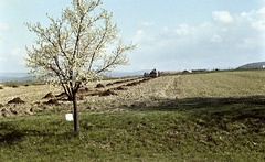 Szlovákia, Poltár, a város látképe dél felől., 1961, Zsanda Zsolt, Vajszada Károly, Csehszlovákia, színes, mező, mezőgazdaság, tavasz, rügyfakadás, Fortepan #60274