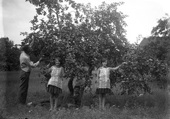 1930, Zsohár Zsuzsa, garden, fruit, twins, Fortepan #60322