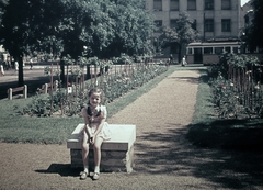 Magyarország, Budapest XII., Királyhágó (Joliot-Curie) tér, Nemzetközi Rózsakert., 1958, Fortepan, gyermek, színes, park, villamos, Budapest, Fortepan #608