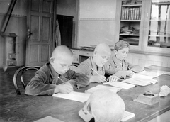 1930, Fortepan, school, tableau, ink bottle, boys, learning, skull, close-cropped, Fortepan #6088