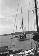 Hungary, Balatonfüred, kikötő, háttérben Tihany., 1965, Lencse Zoltán, sailboat, Fortepan #60962