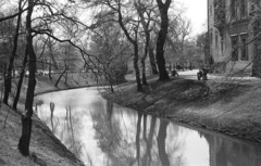 Magyarország, Városliget, Budapest XIV., jobbra a Vajdahunyad vára látszik., 1962, Lencse Zoltán, kastély, víztükör, Alpár Ignác-terv, eklektikus építészet, Budapest, Fortepan #61191