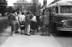 Magyarország, Gyöngyös, Fő tér., 1962, Lencse Zoltán, autóbusz, hirdető tábla, Ikarus 31/311, Fortepan #61215