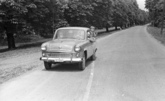 1962, Lencse Zoltán, family, excursion, Soviet brand, street view, Moskvitch-brand, travelling, alley, automobile, number plate, Fortepan #61253