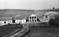 Hungary, Mór, Pince utca, borospincék., 1962, Lencse Zoltán, winery, grape, Fortepan #61281