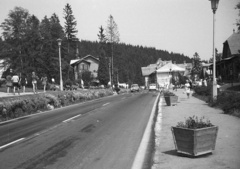 Szlovákia, Ótátrafüred, Cesta slobody., 1972, Lencse Zoltán, Csehszlovákia, erdő, utcakép, életkép, hegy, lámpaoszlop, virágtartó, Tátra hegység, Fortepan #61362