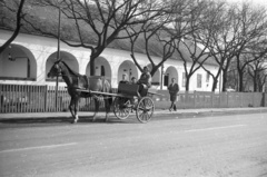 Magyarország, Hortobágy, Hortobágyi Csárda a Kilenclyukú hídnál., 1973, Lencse Zoltán, lovaskocsi, Fortepan #61380