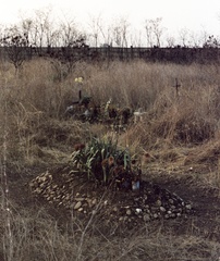 Magyarország, Budapest X., Új Köztemető, 301-es parcella., 1988, Hodosán Róza, színes, temető, Budapest, 1956-utóélet, rendszerváltás, Fortepan #61600