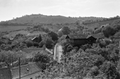 Magyarország, Pécs, kilátás a Pedagógiai Főiskola (később Pécsi Tudományegyetem) kollégiumából a Pacsirta utca felé., 1955, Lipovits Károly, háztető, látkép, Fortepan #61727