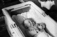 1960, Lipovits Károly, portrait, baby carriage, fondness, newborn, woman, mother, Fortepan #61760