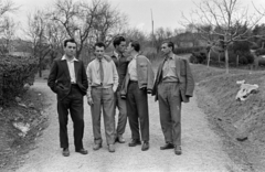 Hungary, Pécs, a felvétel a Pedagógiai Főiskola (később Pécsi Tudományegyetem) botanikus kertjében készült., 1959, Lipovits Károly, smoking, men, Fortepan #61769