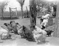 1948, Fortepan, swing, yard, kid, poultry, Fortepan #6182