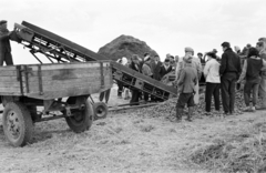 1959, Lipovits Károly, stack, hay, potato, conveyor belt, Fortepan #61867