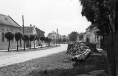 Hungary, Csorna, Béke út, folytatása a Laky Döme utca., 1959, Lipovits Károly, locust tree, brick, Fortepan #61872