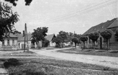 Hungary, Csorna, Béke út, balra a Deák Ferenc utca torkolata., 1959, Lipovits Károly, locust tree, Fortepan #61873