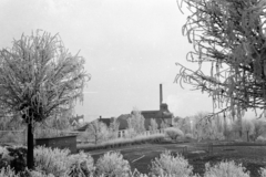 Magyarország, Pécs, Ifjúság útja 6., a Pedagógiai Főiskola (később Pécsi Tudományegyetem) sportpályája. Háttérben a Pannónia Sörgyár., 1955, Lipovits Károly, dér, Fortepan #61905