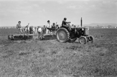 1958, Lipovits Károly, csehszlovák gyártmány, traktor, mezőgazdaság, vetőgép, Zetor-márka, Zetor 25K, mezőgazdasági gép, Fortepan #61942