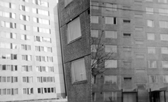 Hungary, Budapest IV., Rózsa utca 36/b hátsó homlokzata az Árpád út 119. elöl nézve (balra), Árpád út 117. (jobbra)., 1978, Fortepan, blocks, concrete block of flats, Budapest, Fortepan #6214