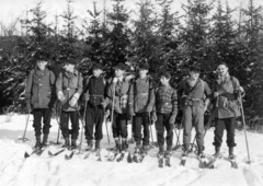 1930, A R, tableau, men, skiing, pine, Fortepan #62145