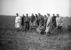 Hungary, Ferihegy (now - Ferenc Liszt) International Airport, Budapest XVIII., munkaszolgálatosok és parancsnokuk a repülőtér építésekor., 1944, A R, Budapest, soldier, shovel, wheelbarrow, Fortepan #62519