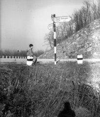 Hungary, Pilis Mountains, Két-bükkfa-nyereg Pilisszentlélek határában., 1956, A R, road signs, milestone, Fortepan #62535