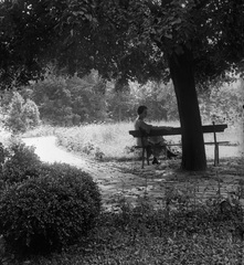 Magyarország, Budapest II., Pasarét, az egykori Császári és Királyi Gyalogsági Hadapródiskola parkja., 1918, Szerdahelyi Márk, park, nyár, nő, pad, Budapest, Fortepan #62627