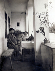 1908, Erdőssy Béla, women, flower, bench, table, porch, Fortepan #6299